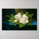 Search for velvet posters Flowers