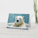 Search for polar bear birthday cards Funny