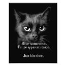 Search for funny cat and dog posters Pets