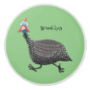 Search for guinea fowl Poultry