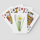 Search for daffodil gifts Narcissus