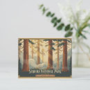Search for sequoia national park postcards Redwood