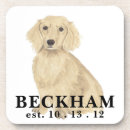 Search for cork coasters Housewarming