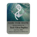 Search for anchor magnets Summer