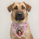 Search for cute dog collars Paw