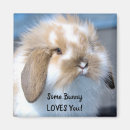 Search for rabbit lovers gifts Easter