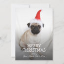 Search for pug christmas cards Vertical