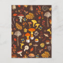 Search for acorn postcards Forest