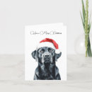 Search for pet rescue cards Veterinarian