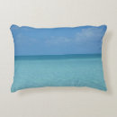 Search for turquoise pillows Water