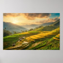 Search for rice paper art Nature
