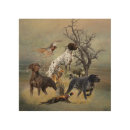 Search for german shorthaired pointer art Deutsch kurzhaar