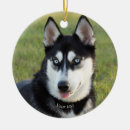Search for siberian husky ornaments Puppy