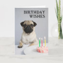 Search for pug birthday cards Puppy