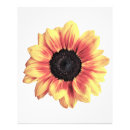 Search for yellow sunflower photography posters nature