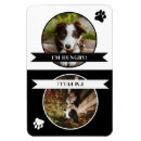 Search for paw print magnets Puppy