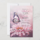 Search for photo of butterfly Pink