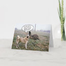 Search for emu birthday cards Humor