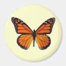 Search for butterfly magnets Nature