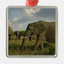 Search for elephant ornaments Africa