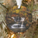 Search for connecticut ornaments Landscape