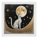 Search for space cat posters Celestial