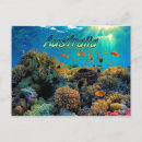 Search for great barrier reef postcards Australia