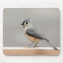 Search for bird mousepads Wings