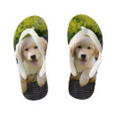 Search for dog sandals pet