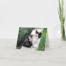 Search for opera invitations Movie