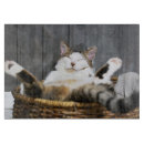 Search for cat cutting boards Animal