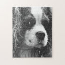 Search for cavalier king charles spaniel puzzles Puppies