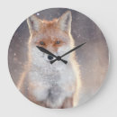 Search for fox clocks Animal