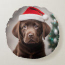 Search for black lab christmas pillows Dogs