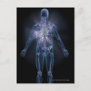 Search for transparent postcards Part
