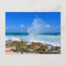 Search for cozumel postcards Beach