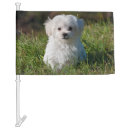 Search for maltese dog gifts Animal
