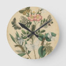 Search for flower clocks Butterflies