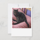 Search for cat save the dates Pets