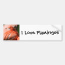 Search for flamingo bumper stickers Animal