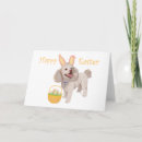Search for dog easter cards Pets