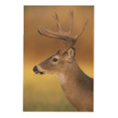 Search for woodland animals art North america