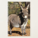 Search for donkey gifts Equine