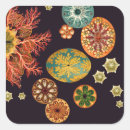 Search for biology stickers Graduation