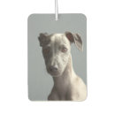 Search for pet photo car air fresheners Dog