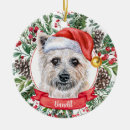 Search for cairn terrier ornaments Dog