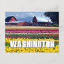 Search for happy birthday tulips postcards Nature