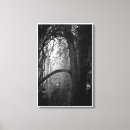 Search for black and white tree canvas prints Nature photography