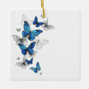 Search for butterfly ornaments Butterflies