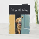 Search for golden retriever birthday cards Humor
